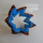 006a armband bruin met blauwe binnenzijde